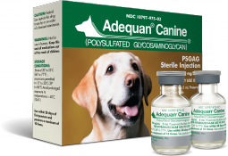 Adequan Canine 5 mL (Single Vial)