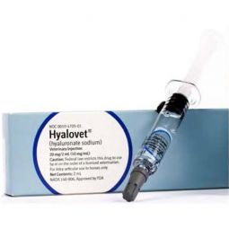 Hyalovet 2mL SYRINGE (Hyaluronate Sodium)