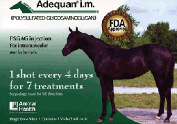 Adequan Equine 500mg/5 mL (5 mL Single Vial)